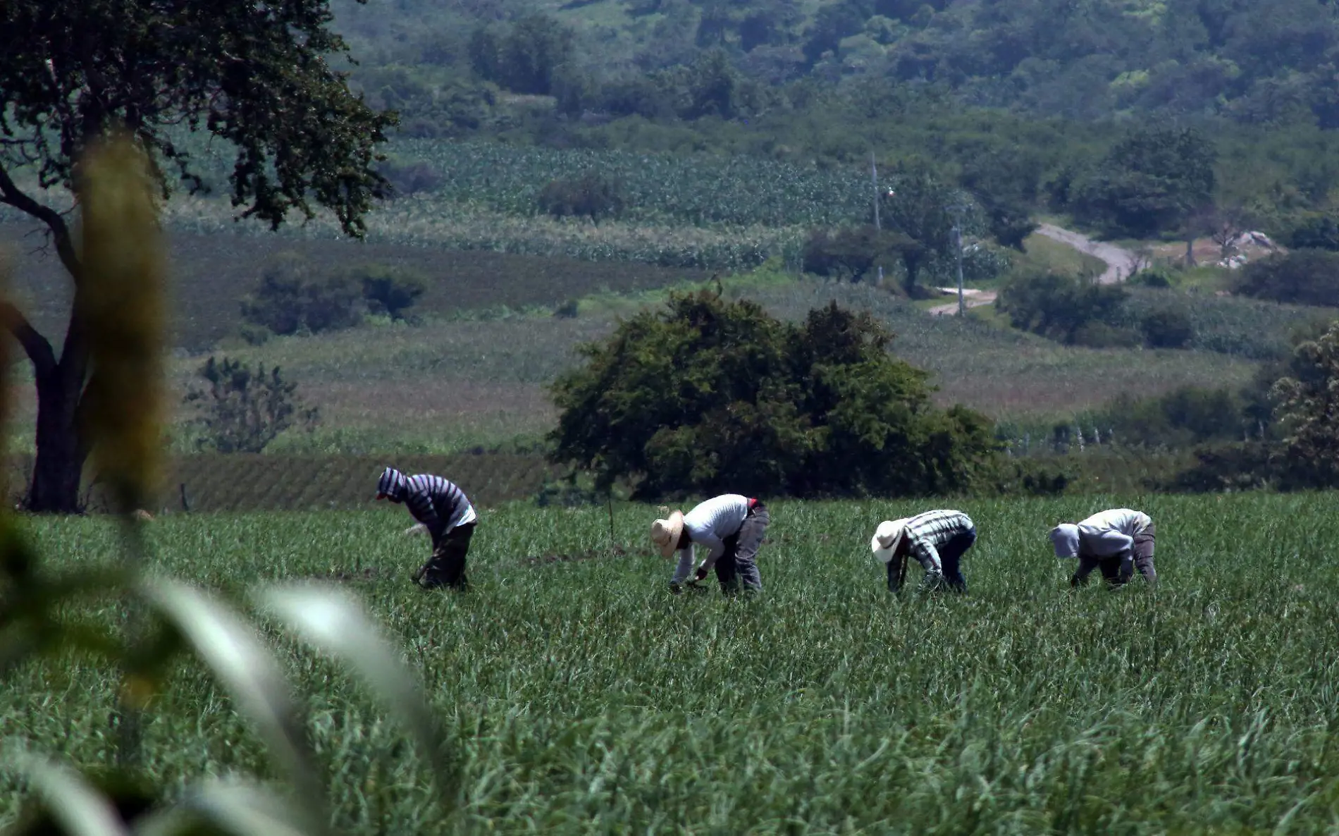 620750_Yecapixtla Vida Cotidiana-1_web